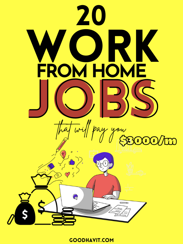 Read more about the article 20 work from home jobs to earn money online.